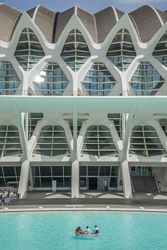 museum de les Ciències Príncipe Felipe, Valencia van Stefan Lok