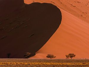 Clair et sombre sur Richard Guijt Photography