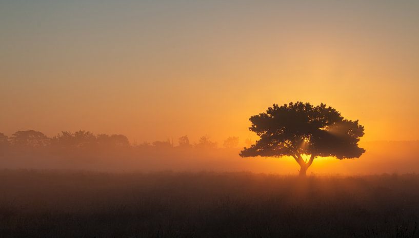 Op de vroege morgen van Manon Zandt