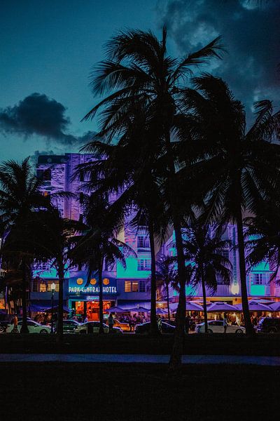 Miami bei Nacht von Amber den Oudsten