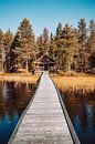 Cabin in the woods | Zweden | Reisfotografie van Expeditie Aardbol thumbnail