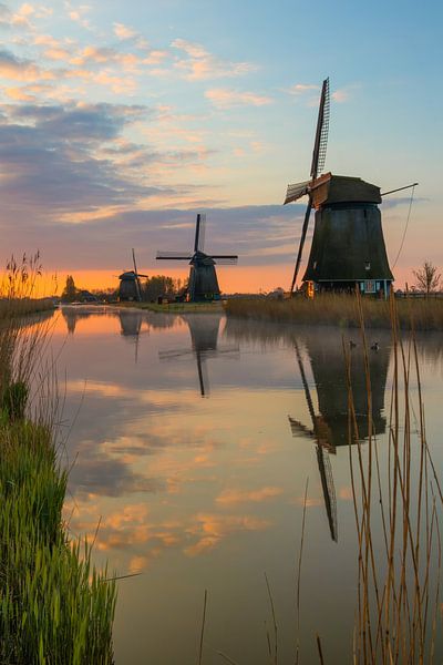 Strijkmolens Rustenburg bij zonsopkomst van Bram Lubbers