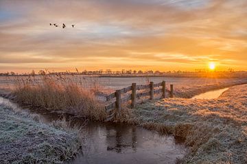 Zonsopkomst in de winter / Sunrise in de winter van Wim Kanis
