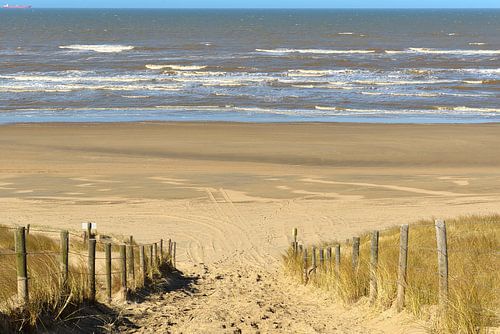 Rood schip aan de horizon van het Nederlandse Noordzeestrand