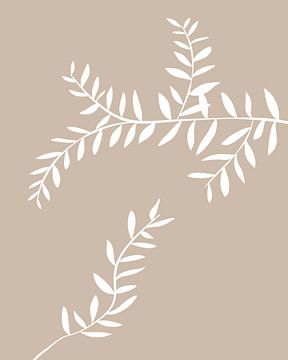 Plants on beige background by Studio Miloa