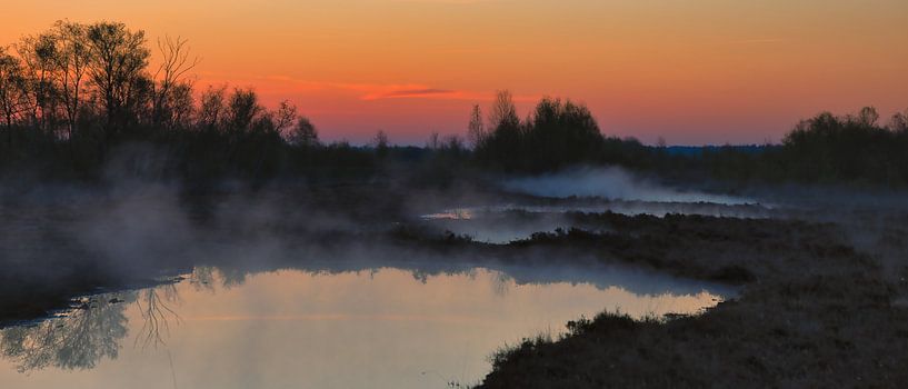 Les chiennes blanches dans le Bargerveen(2) par Miny'S
