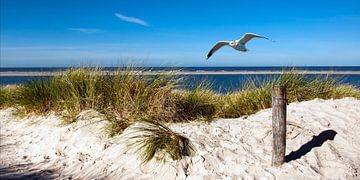 North sea island Langeoog by Reiner Würz / RWFotoArt