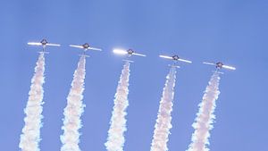 Snowbirds der kanadischen Streitkräfte.
