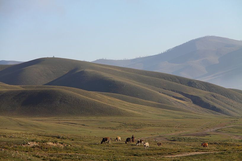 Landscape south of Ulaanbaatar, Mongolia by Marvelli
