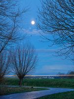Lutjebroek Morning Moon