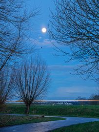 Lutjebroek-Morgenmond von Mariusz Jandy