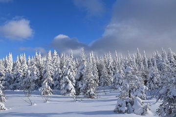The top of the snow-capped mountain by Claude Laprise