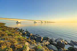 The Zeeland Bridge in the golden morning light by Michael Valjak