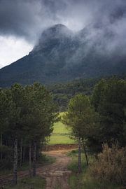 Un voyage à travers la Vall de Cabo : le sentier enchanteur de la forêt d'', sous les nuages sur PhotoCluster