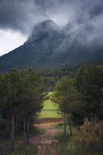 Een tocht door het betoverende bospad van Vall de Cabo'onder de wolken