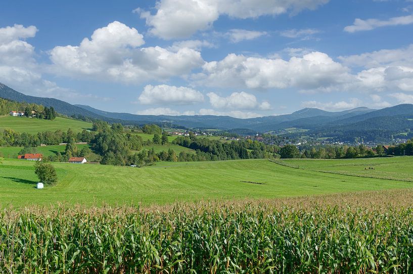 Holiday resort Lam in the Bavarian Forest by Peter Eckert