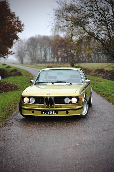 BMW 3.0 CSL e9. Oldtimer / klassieker van Maarten van Hemel