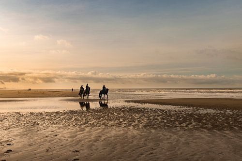 Strand en zee landschap in morgenrood met paarden in Egmond aan Zee