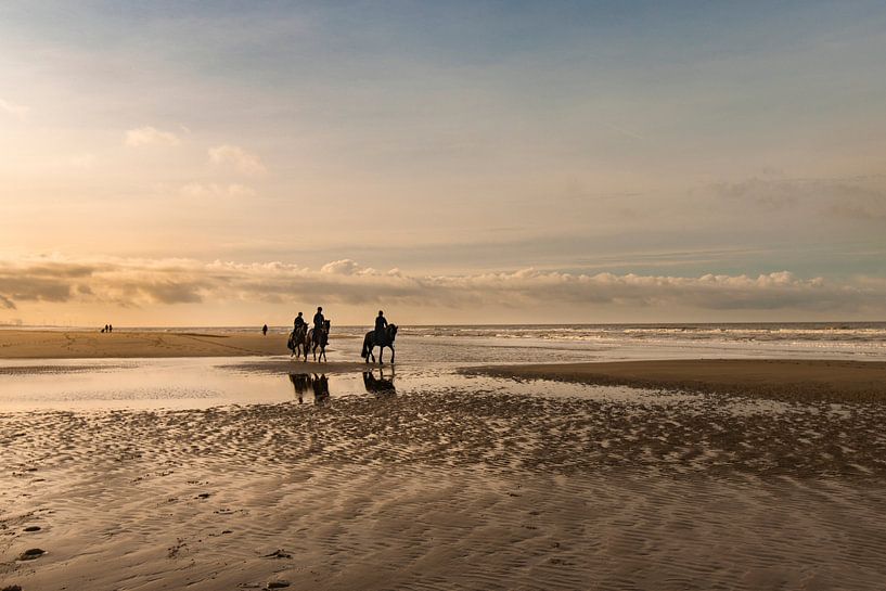 Strand en zee landschap in morgenrood met paarden in Egmond aan Zee van Marianne van der Zee