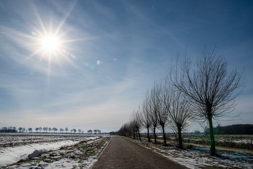 Halo.... by Roland's Foto's