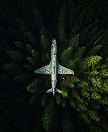 Flugzeugwrack im Wald