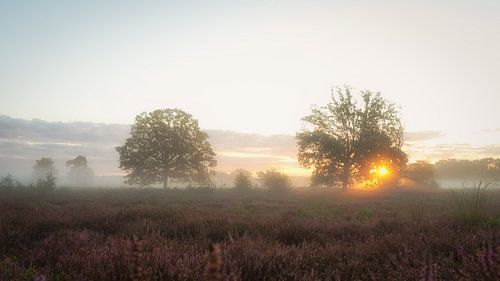 Möge es Sonnenschein geben