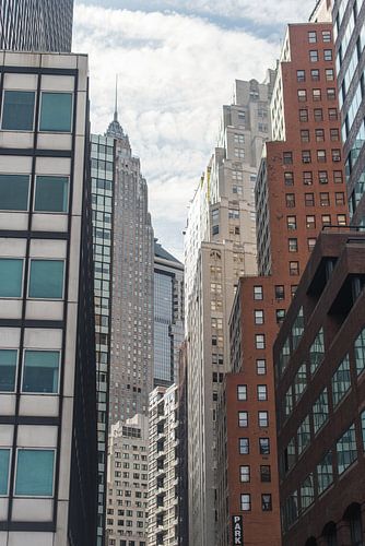 Collection of skyscrapers