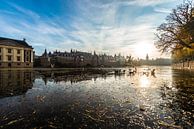 Binnenhof Den Haag gezien van over de Vijver. van Brian Morgan thumbnail