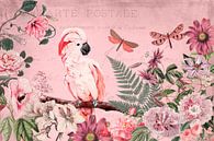 Tropische kaketoe tuin van Andrea Haase thumbnail