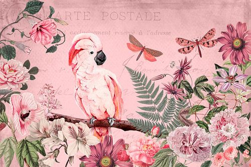 Tropical Cockatoo Garden von Andrea Haase