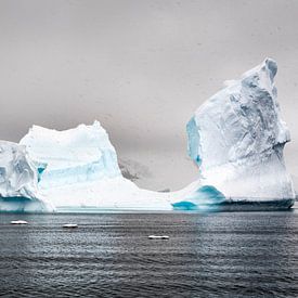 Antarctica 2 van Arjan Blok