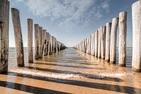 Golfbrekers op het strand van Domburg V