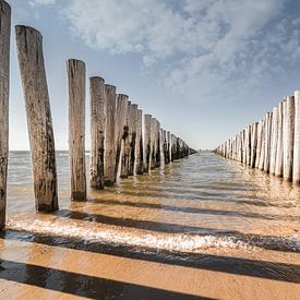 Die Wellenbrecher am Strand von Domburg, Zeeland sur Martijn van der Nat