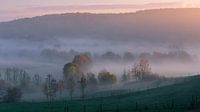 Limburgse heuvels in de herfst van Marcel Tuit thumbnail