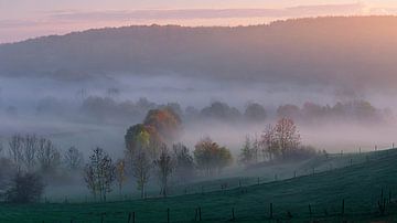 Limburgse heuvels in de herfst van Marcel Tuit