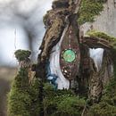 Hidden world van Struinkunst thumbnail