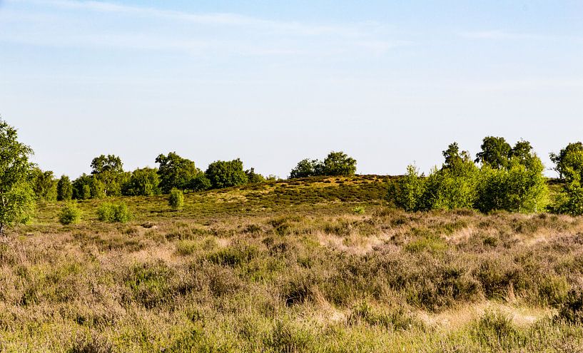 Landschap in NP Maasduinen van Jaap Mulder