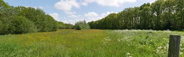 Hay meadows and a ruin in Het Oude Diep. by Wim vd Neut