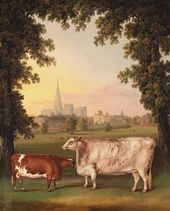 The Pride of the Pasture