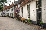 Pitoreske Straße in Hattem im Sommer von Elles Rijsdijk Miniaturansicht