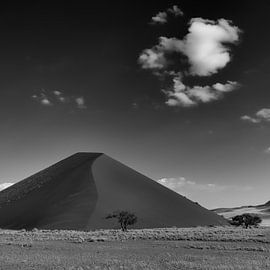 Contrasts by Denis Feiner