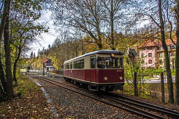 HSB VT 187-011 Alexisbad van Marcel Timmer