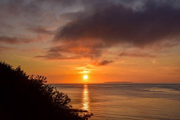 Bucks Mills, England, Vereinigtes Königreich – II von Jarne Buttiens
