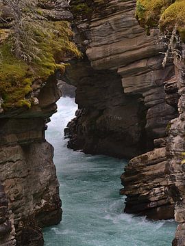 Mountain stream in the narrow gorge by Timon Schneider