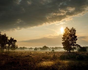 Het begin van de herfst