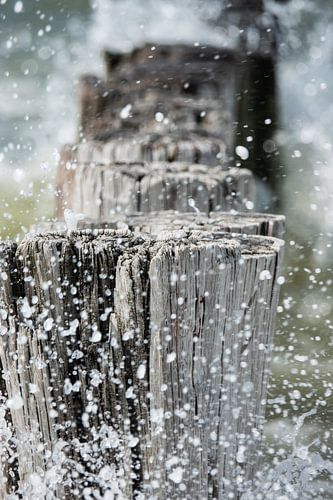 Harde wind  in Zeeland
