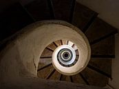 OLYMPUS DIGITAL CAMERA by C. Wold thumbnail
