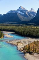 Icefield Parkway Jasper National Park