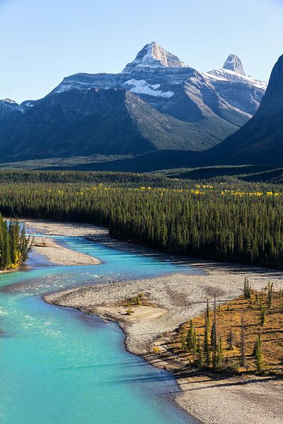 Icefield Parkway Jasper National Park by Nathan Marcusse