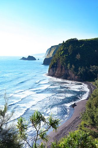 Hawai Big Island noordwest kust